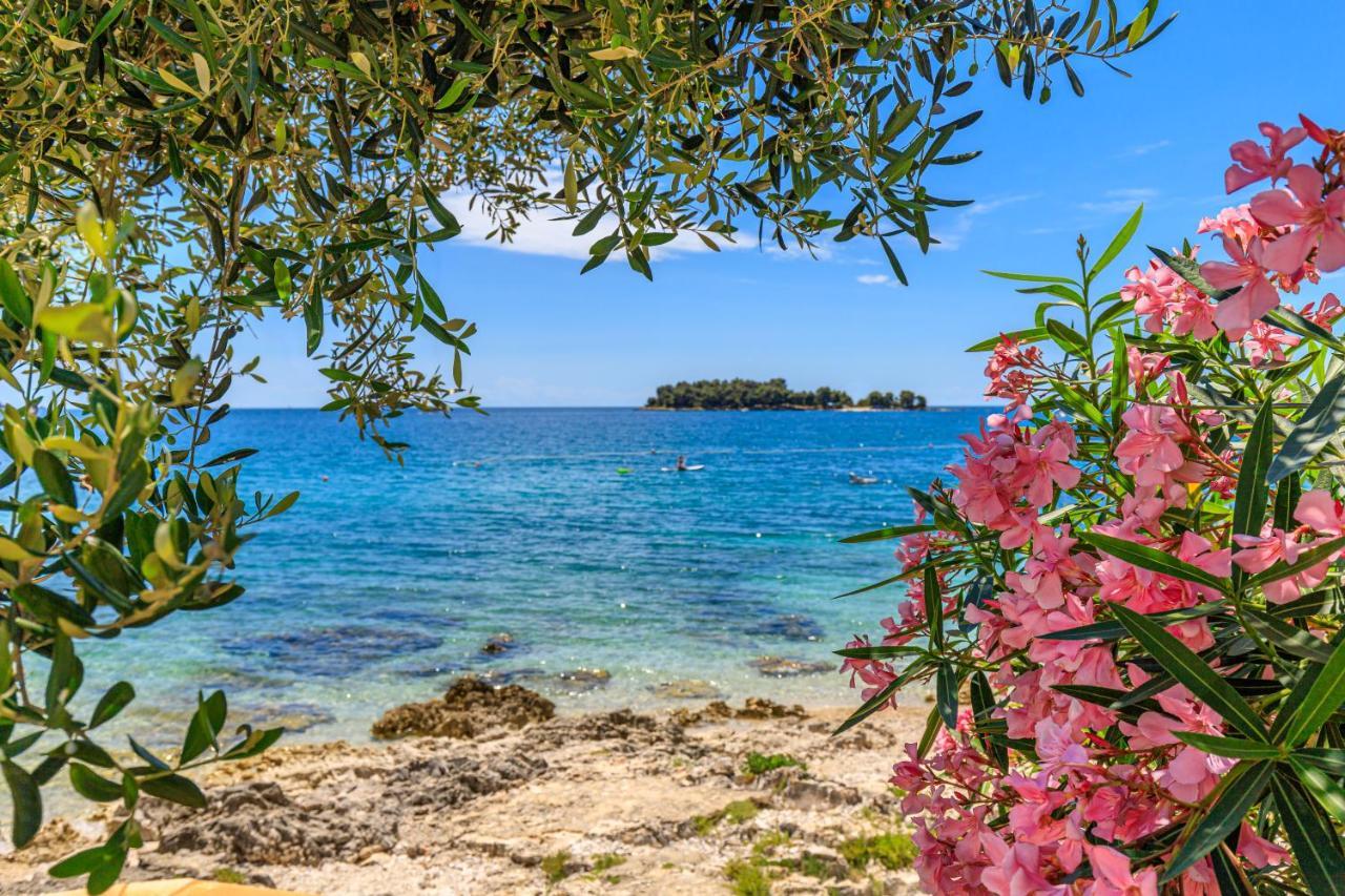 Al Mare Apartments ロヴィニ エクステリア 写真